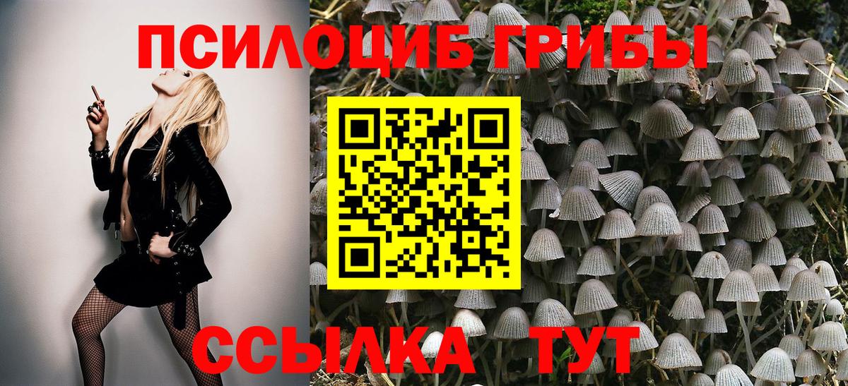 Псилоцибиновые грибы Psilocybine cubensis  Вход с VPN  Алатырь  Псилоцибиновые грибы Magic Shrooms 